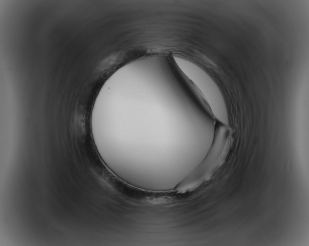 X0000082980452200703020300