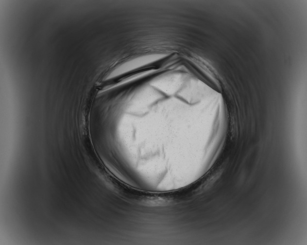 X0000082980453200703020300