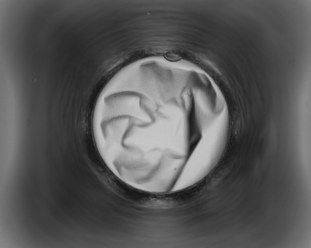 X0000082980455200703020300