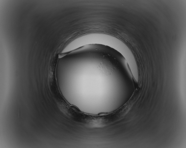 X0000082980456200703020300