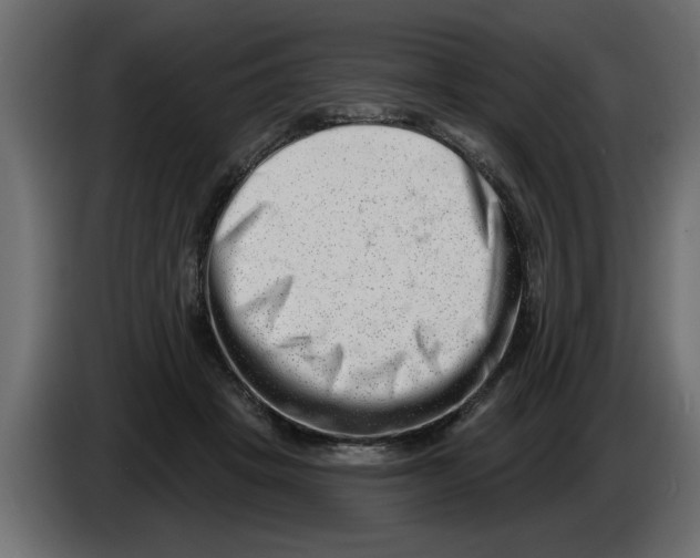 X0000082980457200703020300