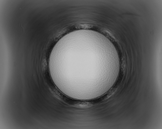 X0000082980459200703020300