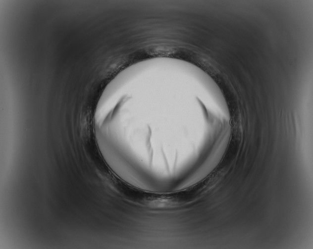 X0000082980460200703020300