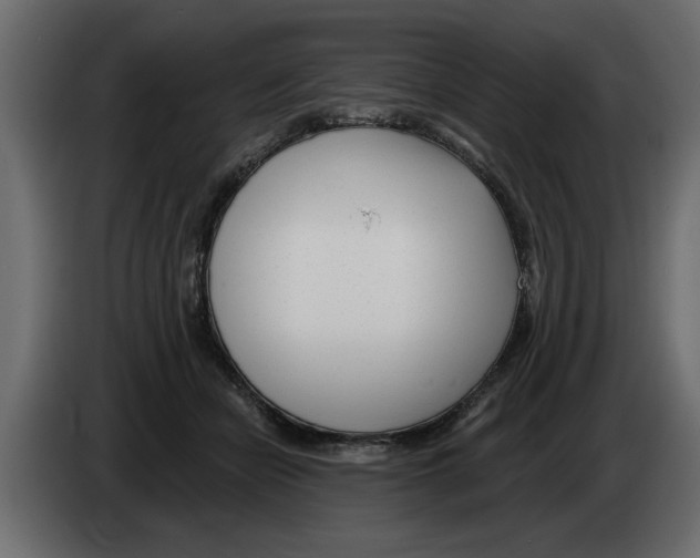 X0000082980462200703020300