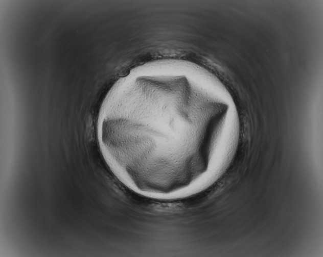 X0000082980465200703020300