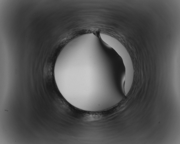 X0000082980466200703020300