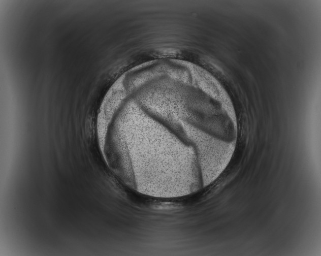 X0000082980467200703020300