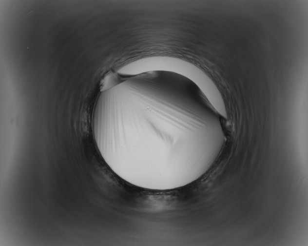 X0000082980470200703020301