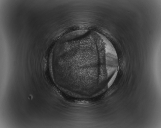 X0000082980471200703020301