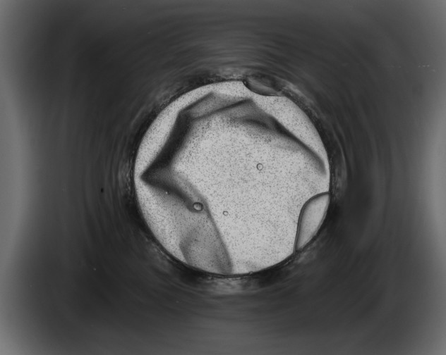 X0000082980473200703020301