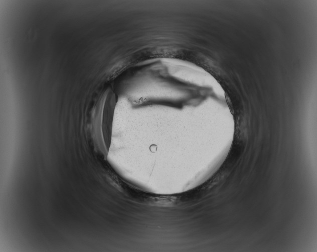 X0000082980474200703020301