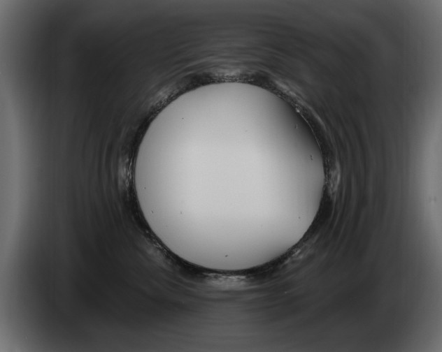 X0000082980476200703020301