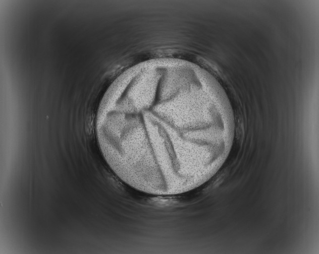 X0000082980477200703020301