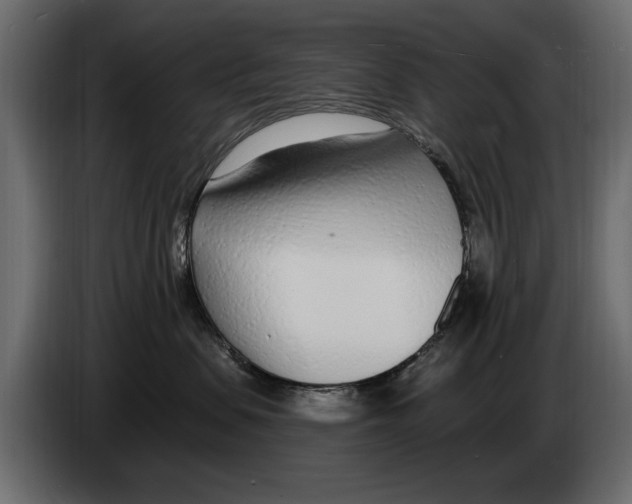 X0000082980479200703020301