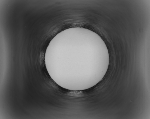 X0000082980480200703020301