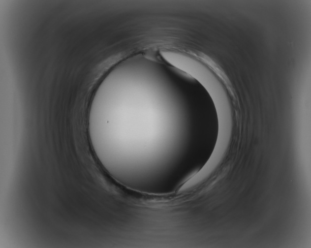 X0000082980481200703020300