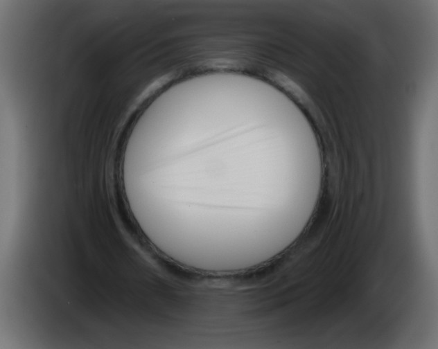 X0000082980482200703020300