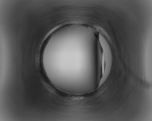 X0000082980484200703020300