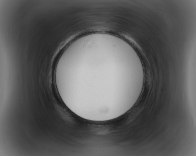 X0000082980486200703020300