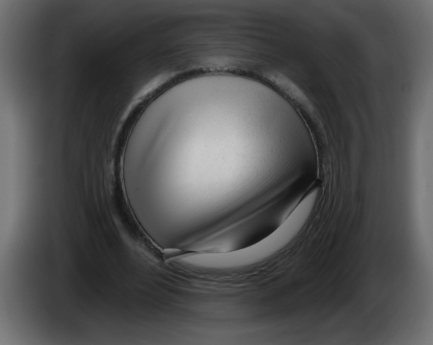 X0000082980488200703020300