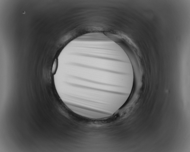 X0000082980489200703020300