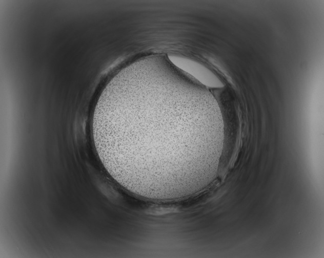 X0000082980491200703020300