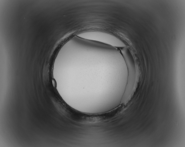 X0000082980492200703020300