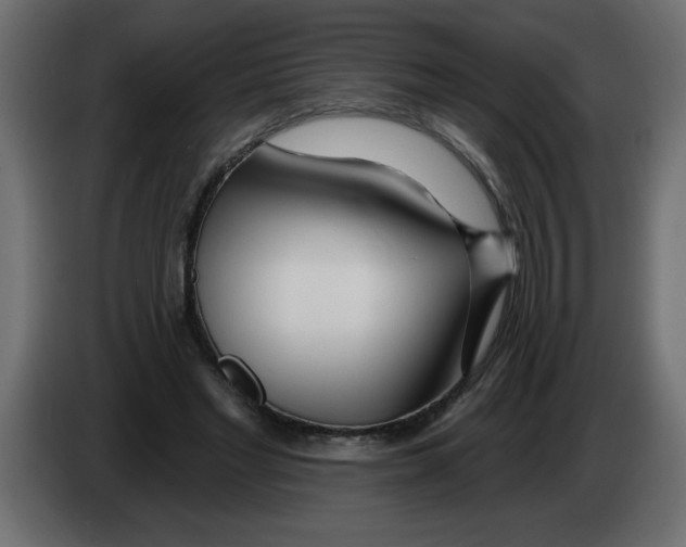 X0000082980493200703020300