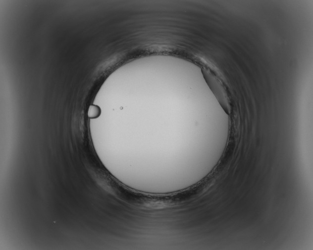 X0000082980494200703020300