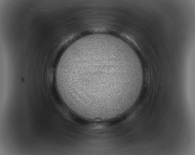 X0000082980495200703020300