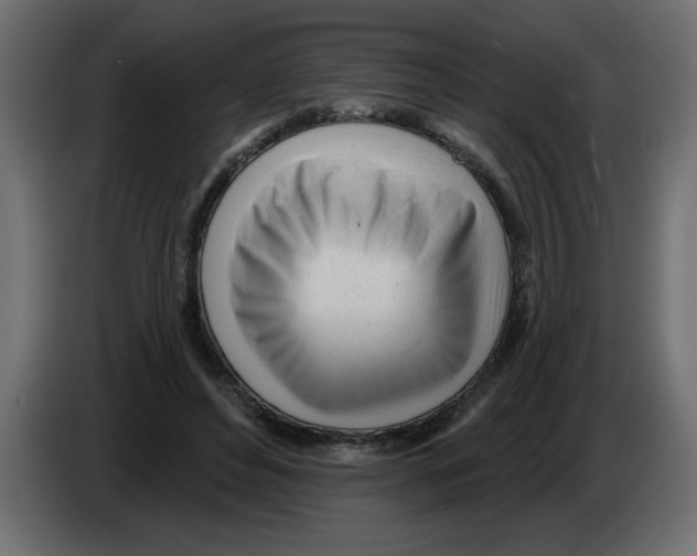 X0000082980496200703020300