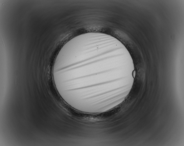 X0000082980498200703020300