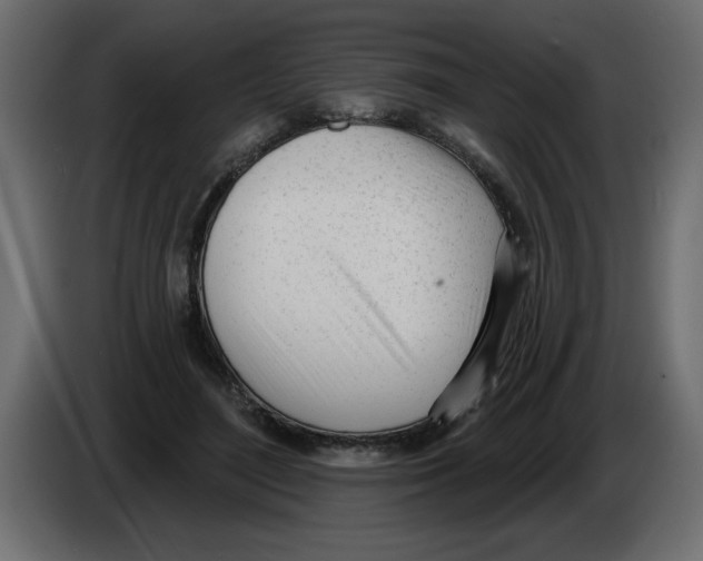 X0000082980500200703020300