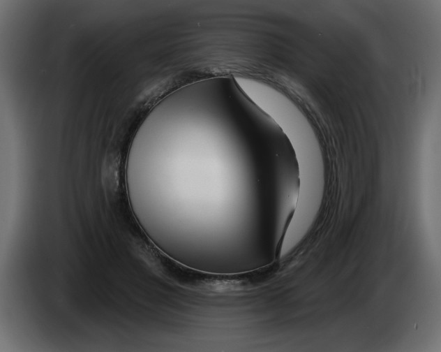 X0000082980501200703020300