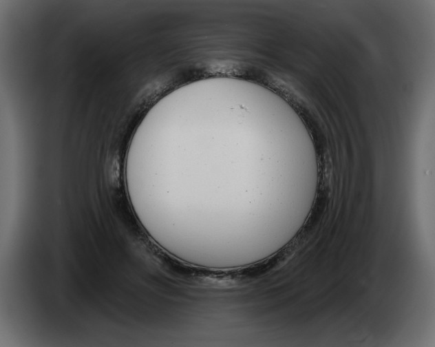 X0000082980502200703020300