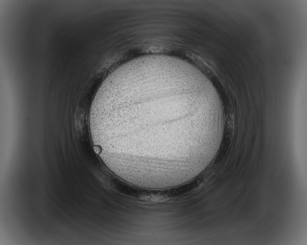 X0000082980503200703020300