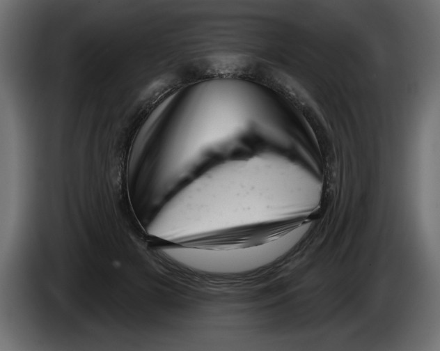 X0000082980505200703020300