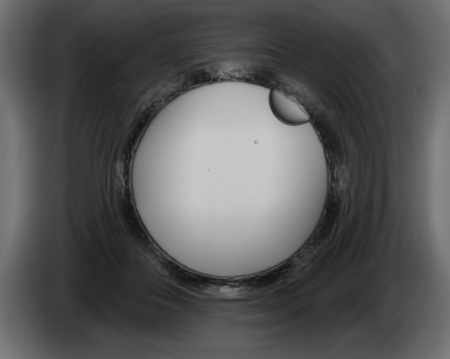 X0000082980506200703020300