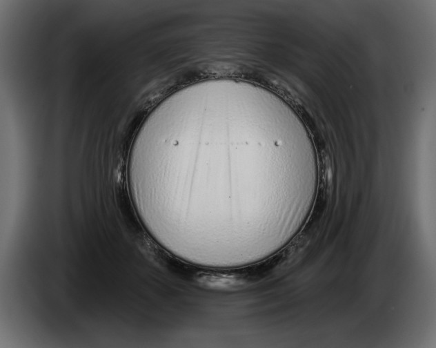 X0000082980507200703020300