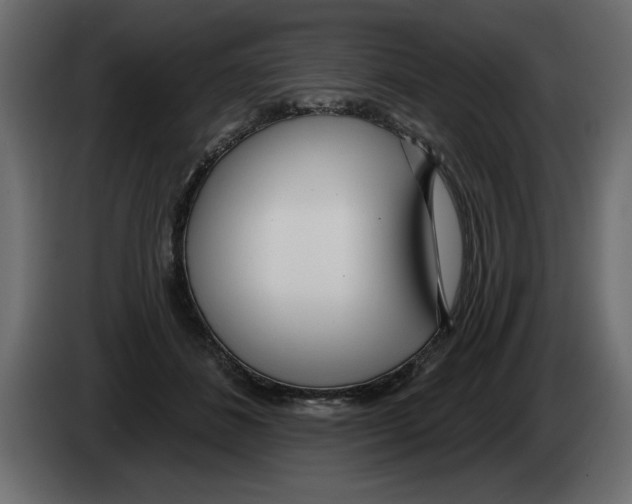 X0000082980508200703020300