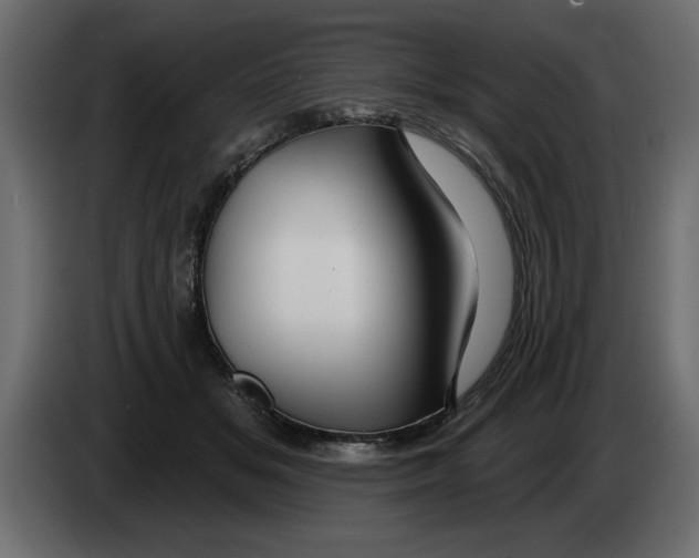 X0000082980509200703020300