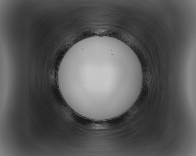 X0000082980510200703020300