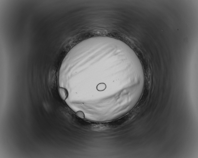 X0000082980511200703020300