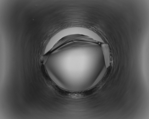 X0000082980512200703020300