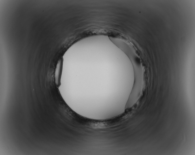 X0000082980513200703020259