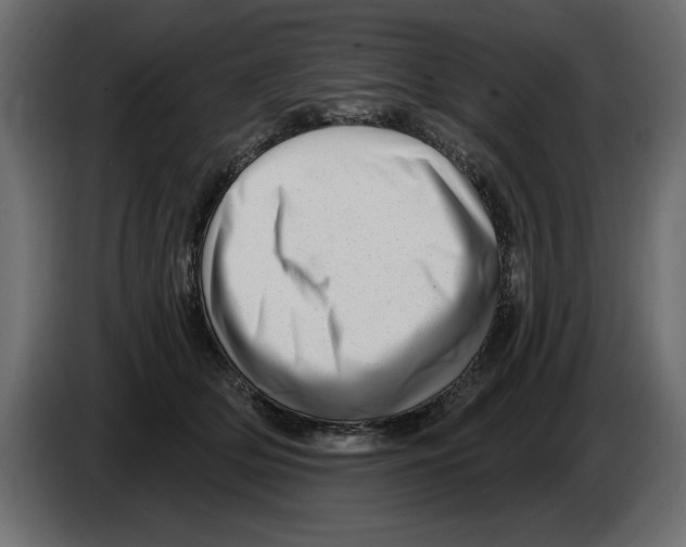 X0000082980514200703020259