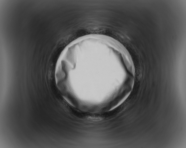 X0000082980515200703020259