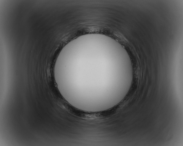 X0000082980516200703020259