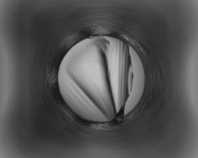 X0000082980517200703020259