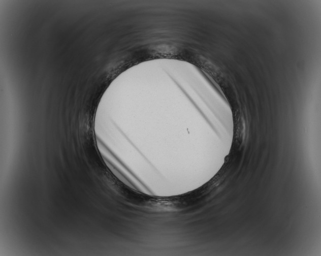 X0000082980518200703020259